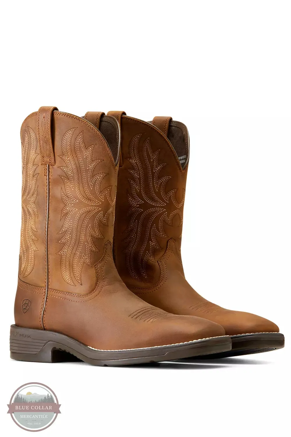 10046982 Ridgeback Western Boots