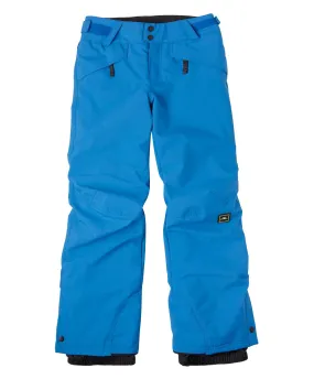 Boy's Anvil Snow Pants - Directoire Blue